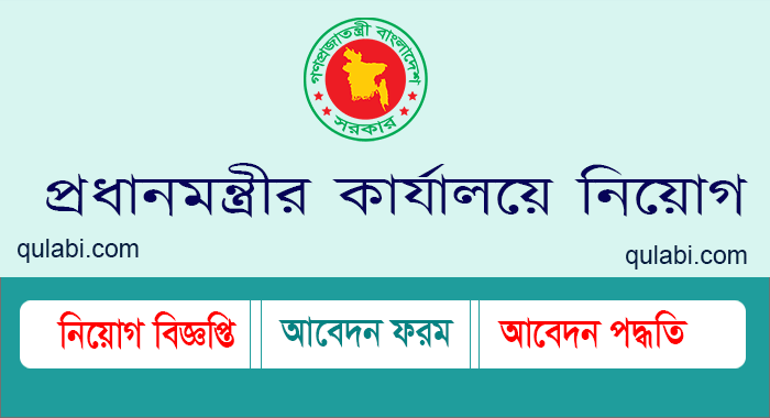 nsda job circular 2024 pdf download